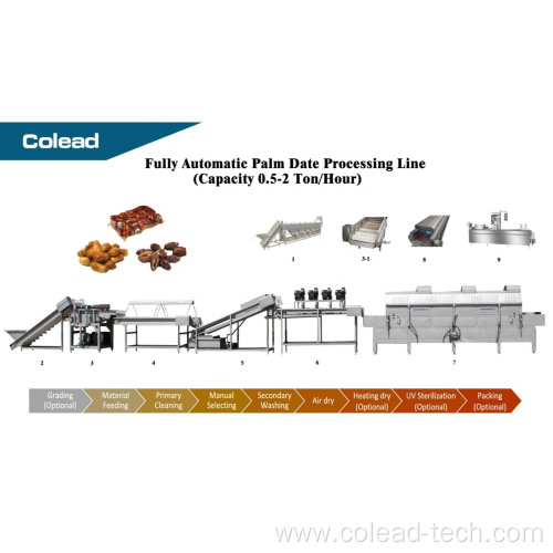 Hot sale date processing equipment